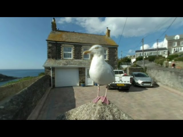 VR180 3D PORT ISAAC CORNWALL ENGLAND
