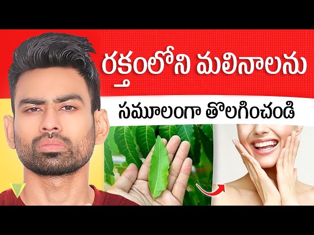 రక్తంలో పేరుకుపోయిన మలినాలను శుభ్రం చేసుకోవడం ఎలా ? - Purify Blood Naturally  | Fit Tuber Telugu