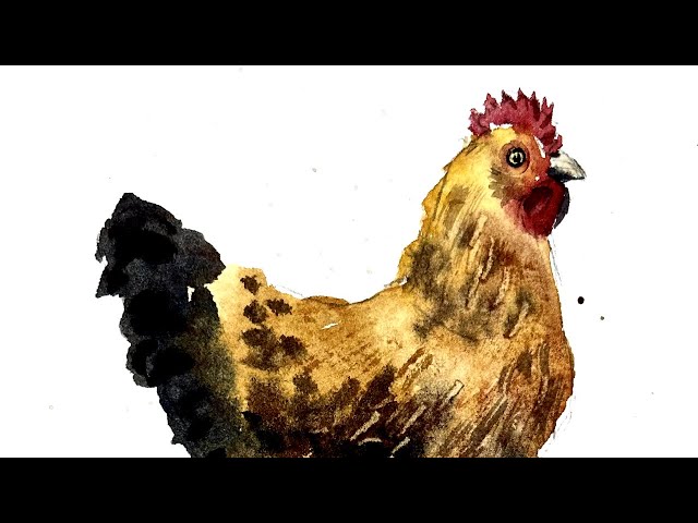 Paint a HEN in watercolour - Step by Step Tutorial