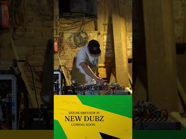 Chilling Dub Preview 2 #reggae #music #oldschool #chill #dub #producer #jamaica #love #summer