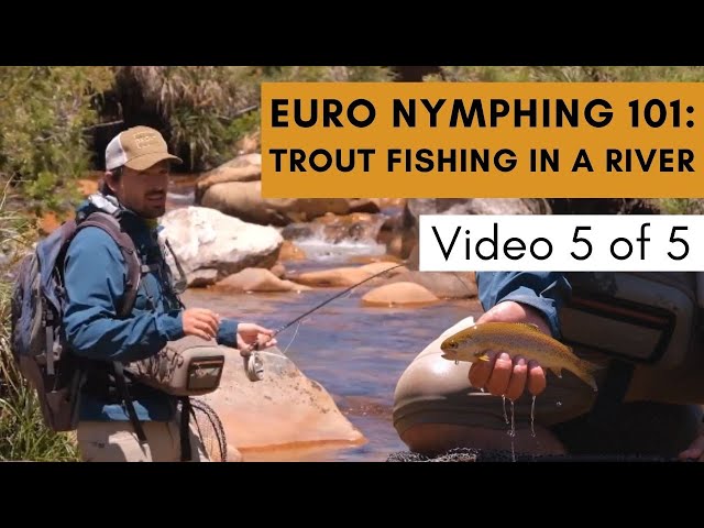 How To Catch A Trout in a River (Euro Nymphing 101)