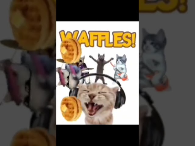 do you like waffles