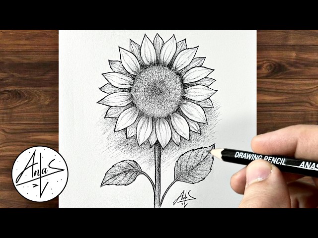Sketching A Sunflower Step By Step For Beginners  Drawing Tutorial