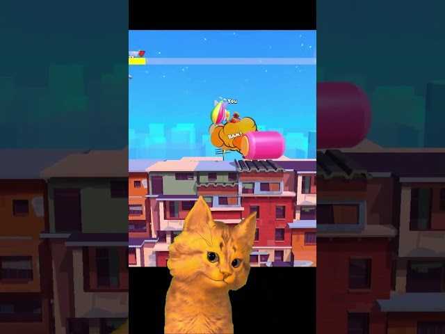 Purrkins Couldn’t Survive This Madness… 🐱💣