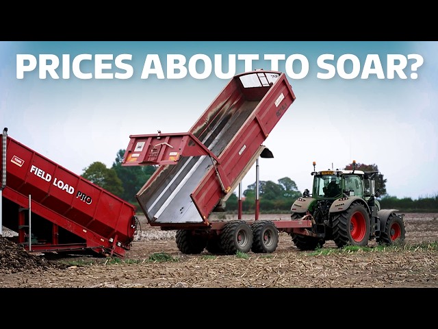 How extreme summer weather has ravaged Britain's crops