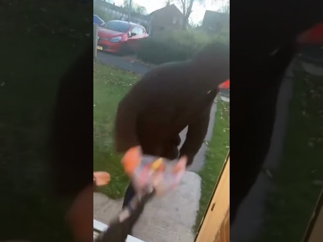"A halloween Scare Gone Wrong: Kid Will Be Traumatized!"