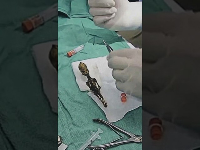 The 6-Inch "Alien" Skeleton That Terrified Scientists!