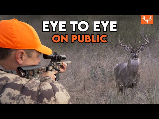 Public Land Buck w/ 6.5 Creedmoor!