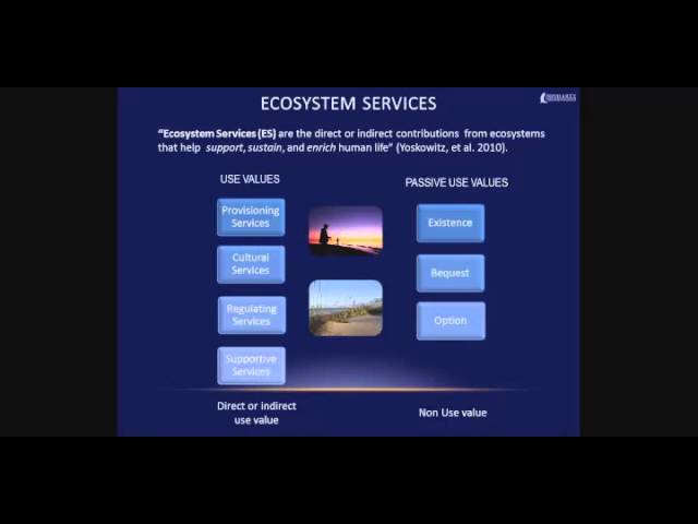 ES Visualized-What are ecosystem services?
