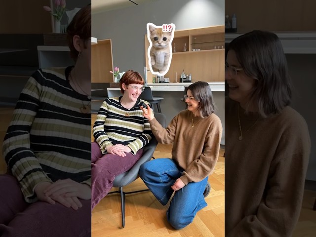 Team-Power bei der Pfotenhilfe! 🐾😍 So geht gemeinsames Engagement 🫶