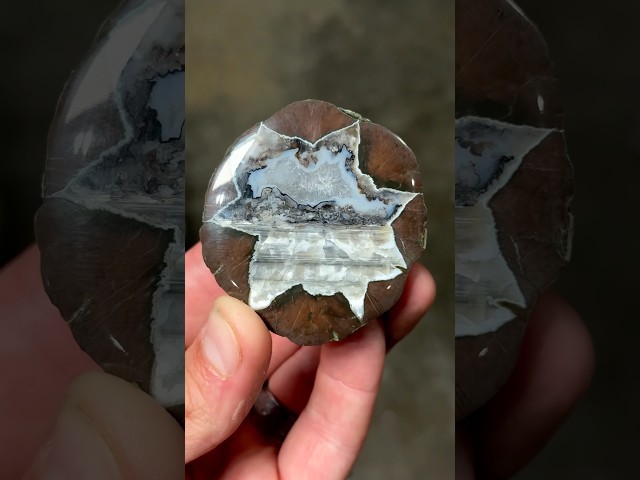 The Mountain Thunder Egg 🏔️