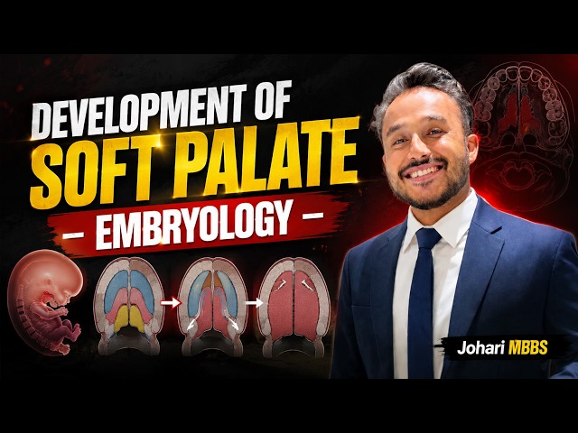 Development of Soft Palate Embryology MBBS 1st Year | Development Of Head and Neck | Johari MBBS