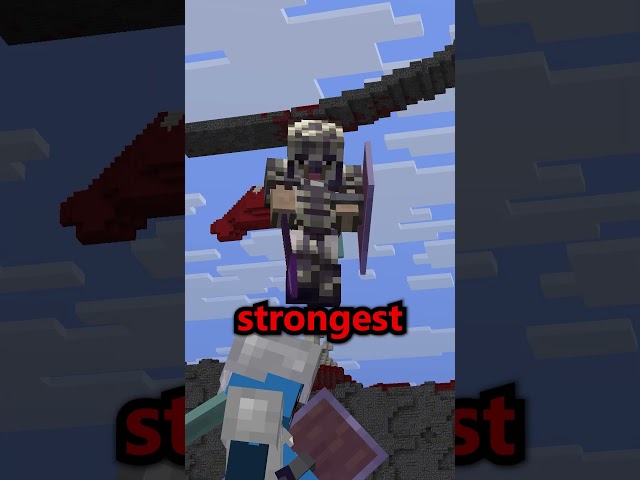 I found the BEST FFA Minecraft Server!