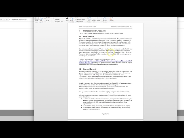 Preparing an IND Application