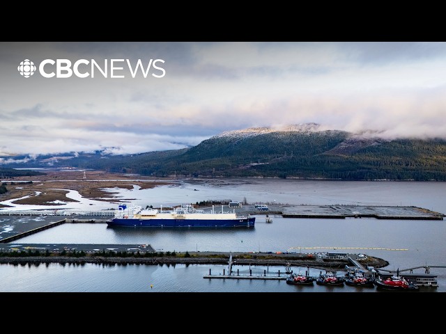 LNG Canada will use Chinese steel for parts of Phase 2 expansion project in B.C.