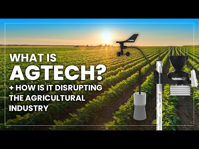What is AgTech? | The Technology That's Disrupting the Agricultural Industry | INCYT