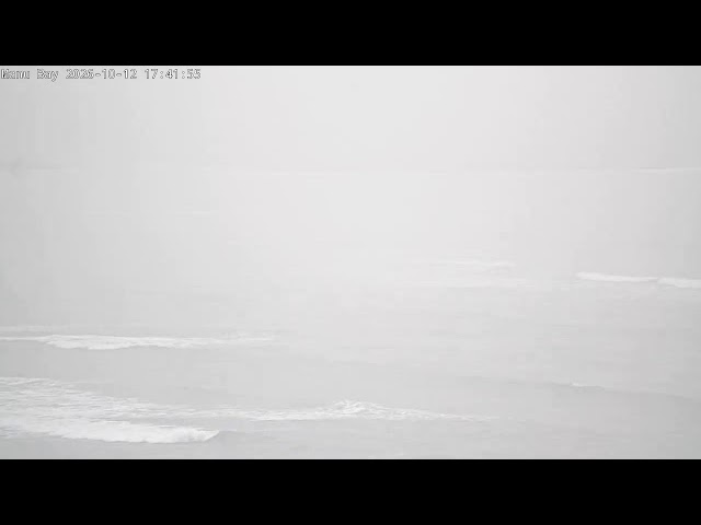 Manu Bay camera