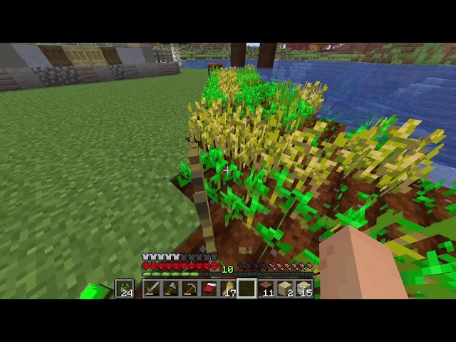Playing Minecraft Java Part 2
