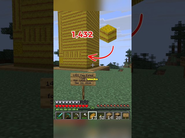 1432 Hay in Minecraft for 1432 subscribers #minecraft