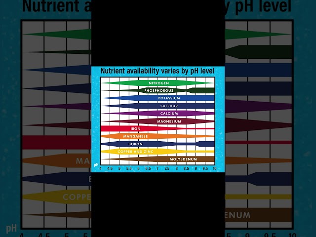 It's Not A Lack Of Nutrients, It's NUTRIENT LOCKOUT! How Ph Manages Nutrient Uptake #hydroponics
