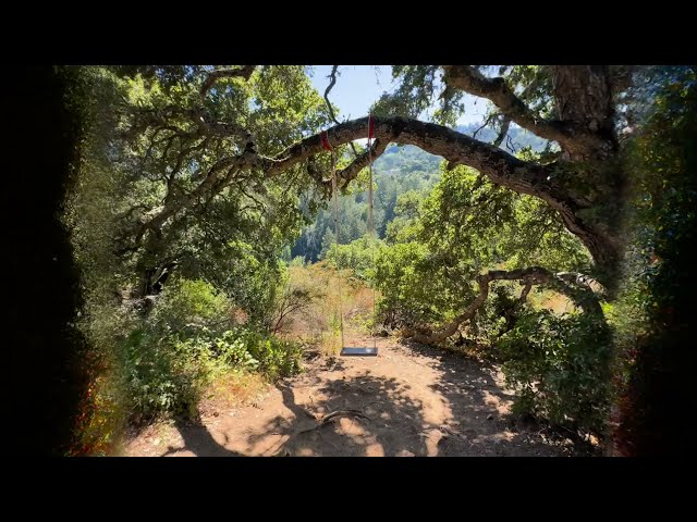 How much did we spend on this impossibly smooth 3D VR dolly shot?