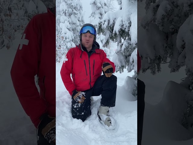 Tree Well Safety #skibigwhite #canada #bigwhite #skiresort