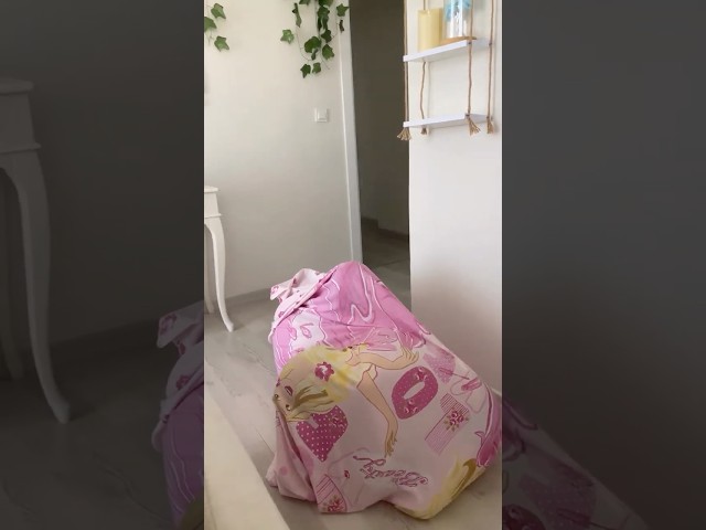 Доброе утро😂