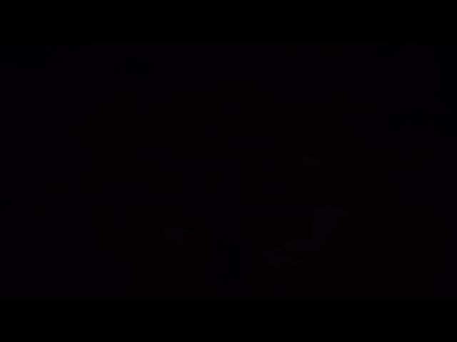 Silly Goofy Clips #7