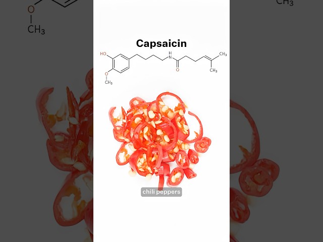 Why do people like spicy food?