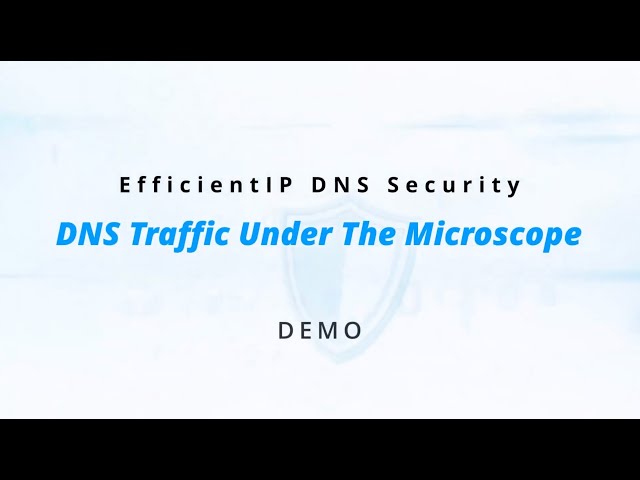 DNS Traffic Under the Microscope
