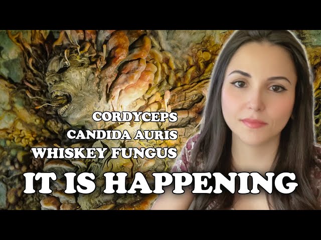 The Last of Us EXPLAINED & Current Real Fungal Threats 🍄