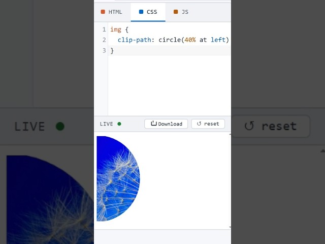 HTML Image Clip Path Half Circle #coding #htmltutorial #csstutorial