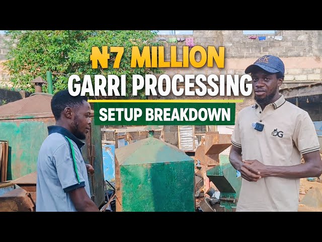 How to Set Up a Profitable Garri Processing Line | Machines & Prices Explained