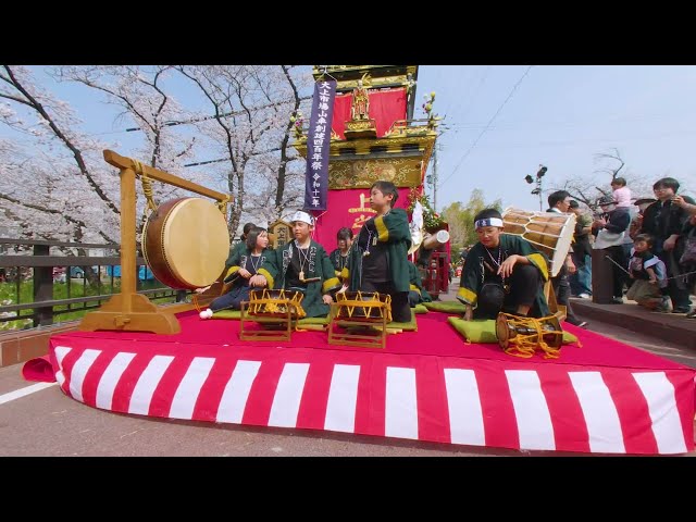 (VR180･3D)  2026.03.28 岩倉桜まつり 五条川河畔からくり実演