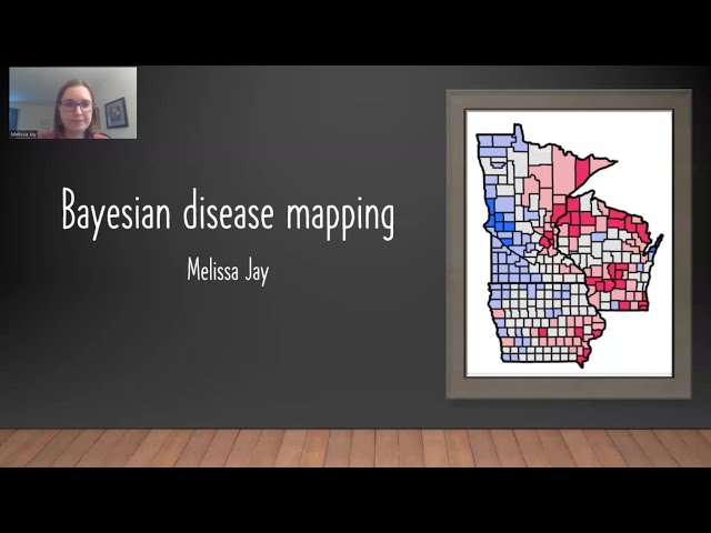 Bayesian Disease Mapping