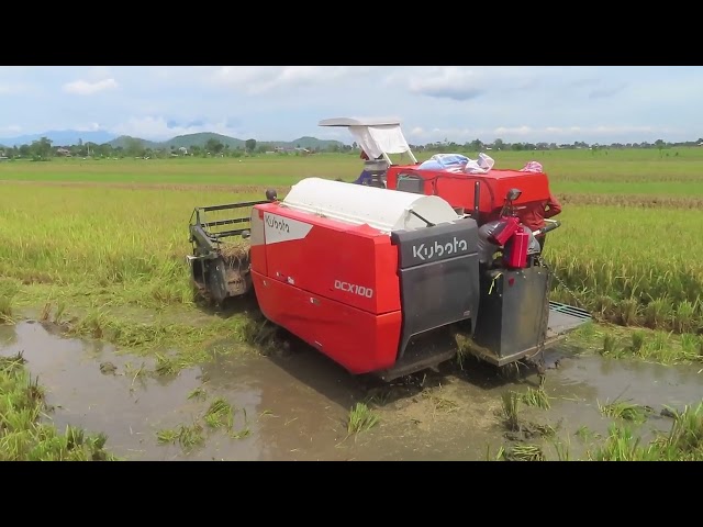 KOMBI SAWAH KUBOTA DCX100  KANOPINYA PUTIH