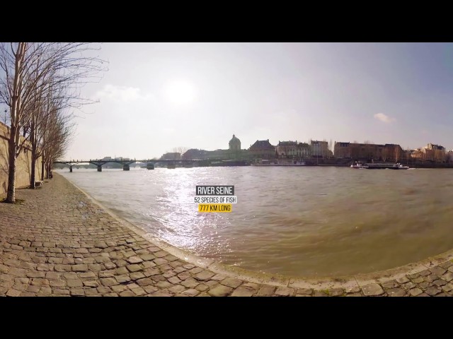 [360° VR Video]  Visit Paris in 3Glasses VR