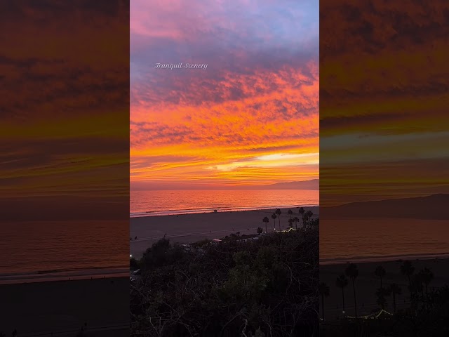 🌴✨California Sunset ☀️🧡🌊#oceanwaves #beachvibes #lovemusic