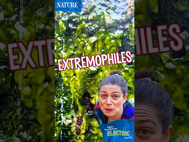 Extremophiles!