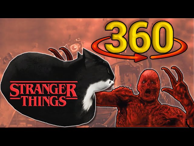 360 Video Maxwell the Cat helps Eleven fight Vecna in Upside Down - Stranger Things
