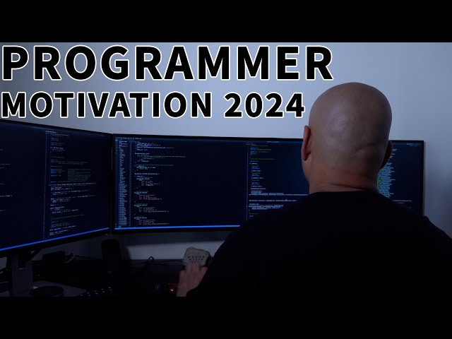 Programmer Motivation 2024