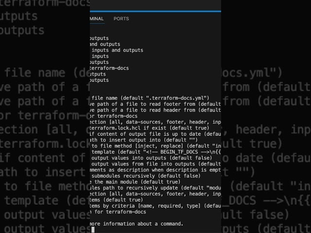terraform-docs is a magic terraform tool!