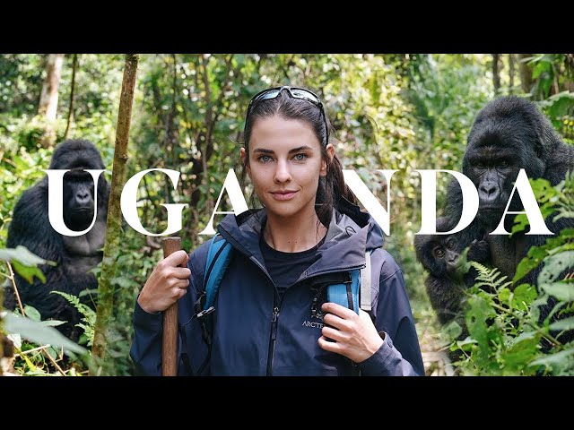 I travelled across the world to Uganda to find WILD gorillas🇺🇬 | Elena Taber
