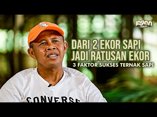Sukses Ternak Sapi Dari 2 Ekor Jadi 350 Ekor Tanpa Ngarit - Handoyo Farm Blitar