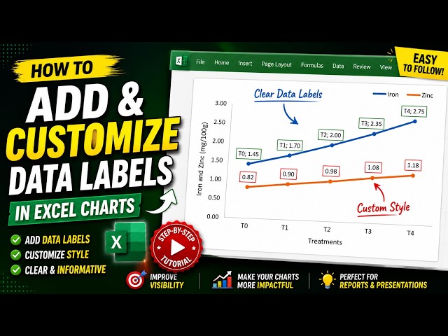 How to Add & Customize Data Labels in Excel Charts | Excel Chart Tutorial for Beginners