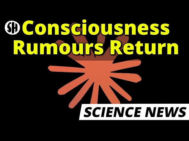 AI Might Be Conscious, But Not As We Thought [REUPLOAD]