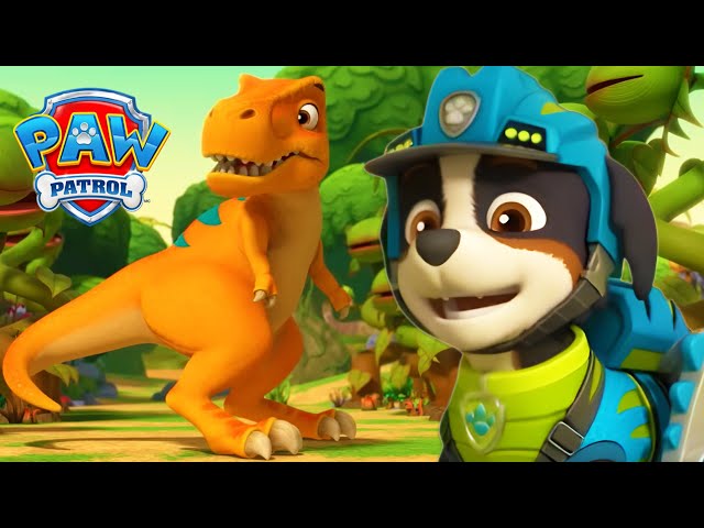 Rettung des Dino-Babys! 🦖 - PAW Patrol Germany - Cartoons für Kinder
