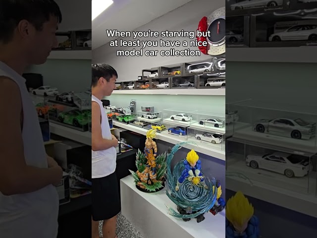 Anyone else NOT struggling? 😆 #diecast #diecastcars #diecastcollection #shorts