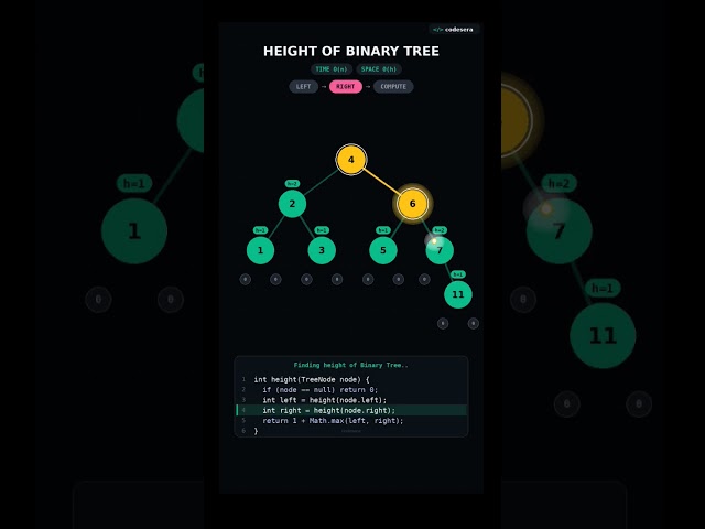 Can you solve this in 15 second | Height of binary tree #coding #python #shorts
