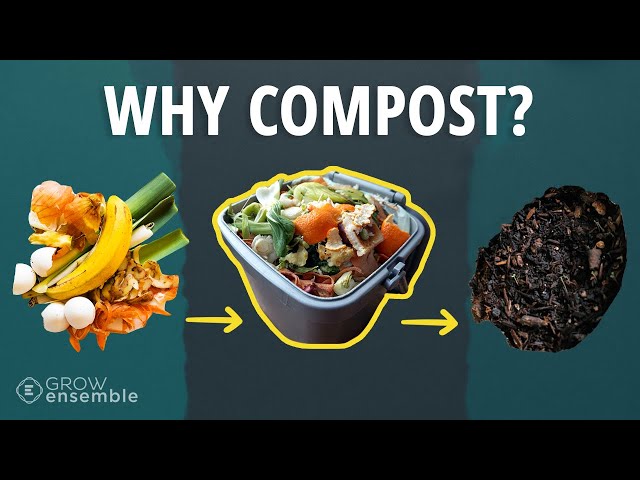 Why Compost? The 10 Benefits of Composting for People and the Planet